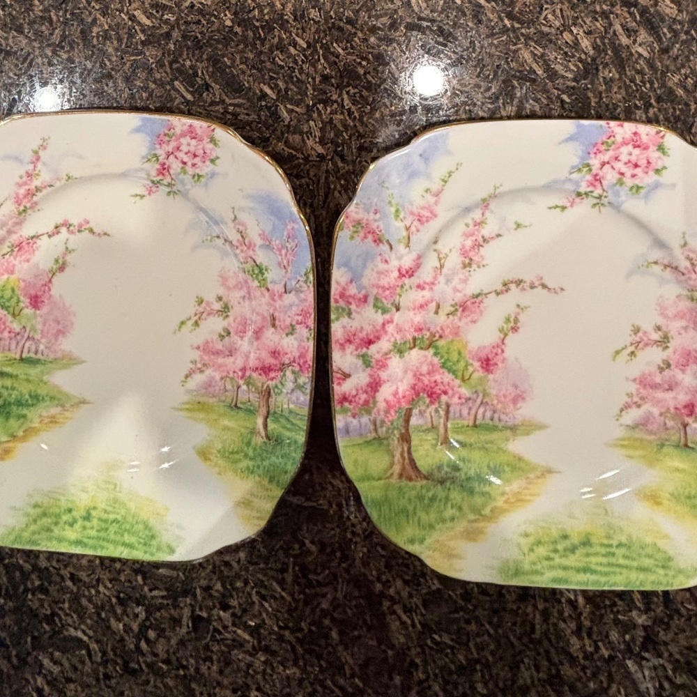 Two -  6 1/4" Bread & Butter Plates by Royal Albert, Blossom Time
